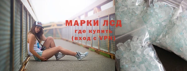 стафф Арсеньев