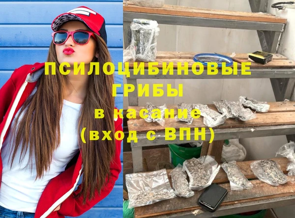 дживик Алексин