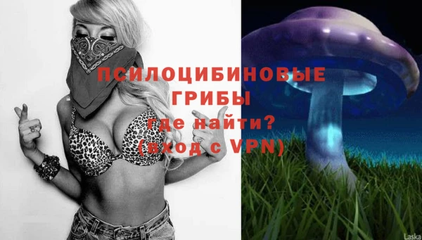 стафф Арсеньев
