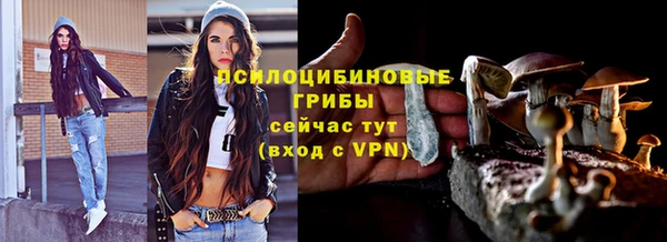 а пвп мука Абаза